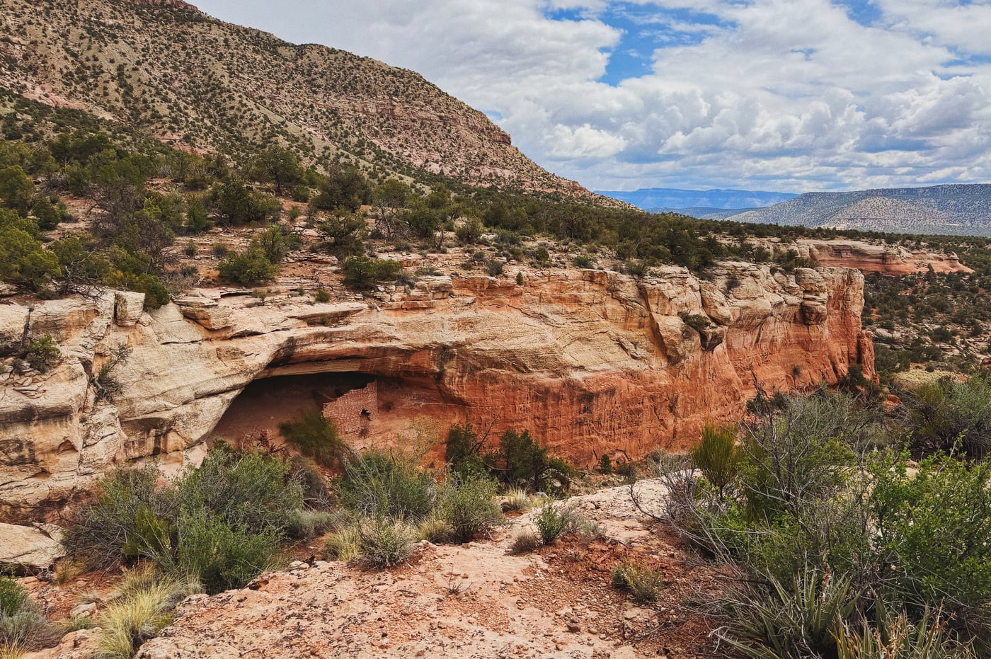 Cliffside view of a desert landscape with a large rock overhang sheltering ancient pueblo dwellings, surrounded by sparse vegetation and distant mountains under a cloudy sky.