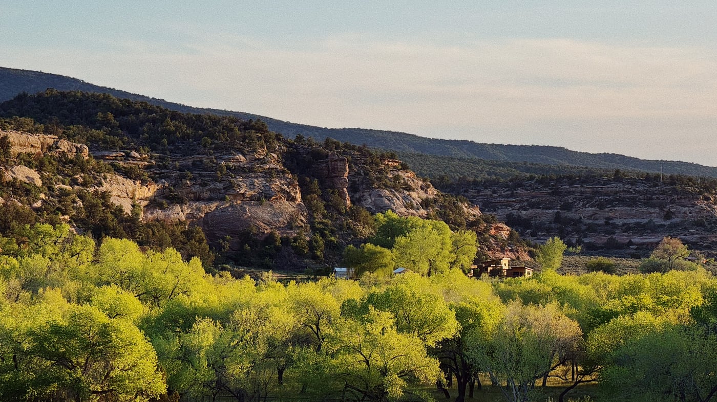 Scenic view of a forested valley with green trees and rocky hills in the background under a soft evening light. A small house is tucked into a break in the distant trees.