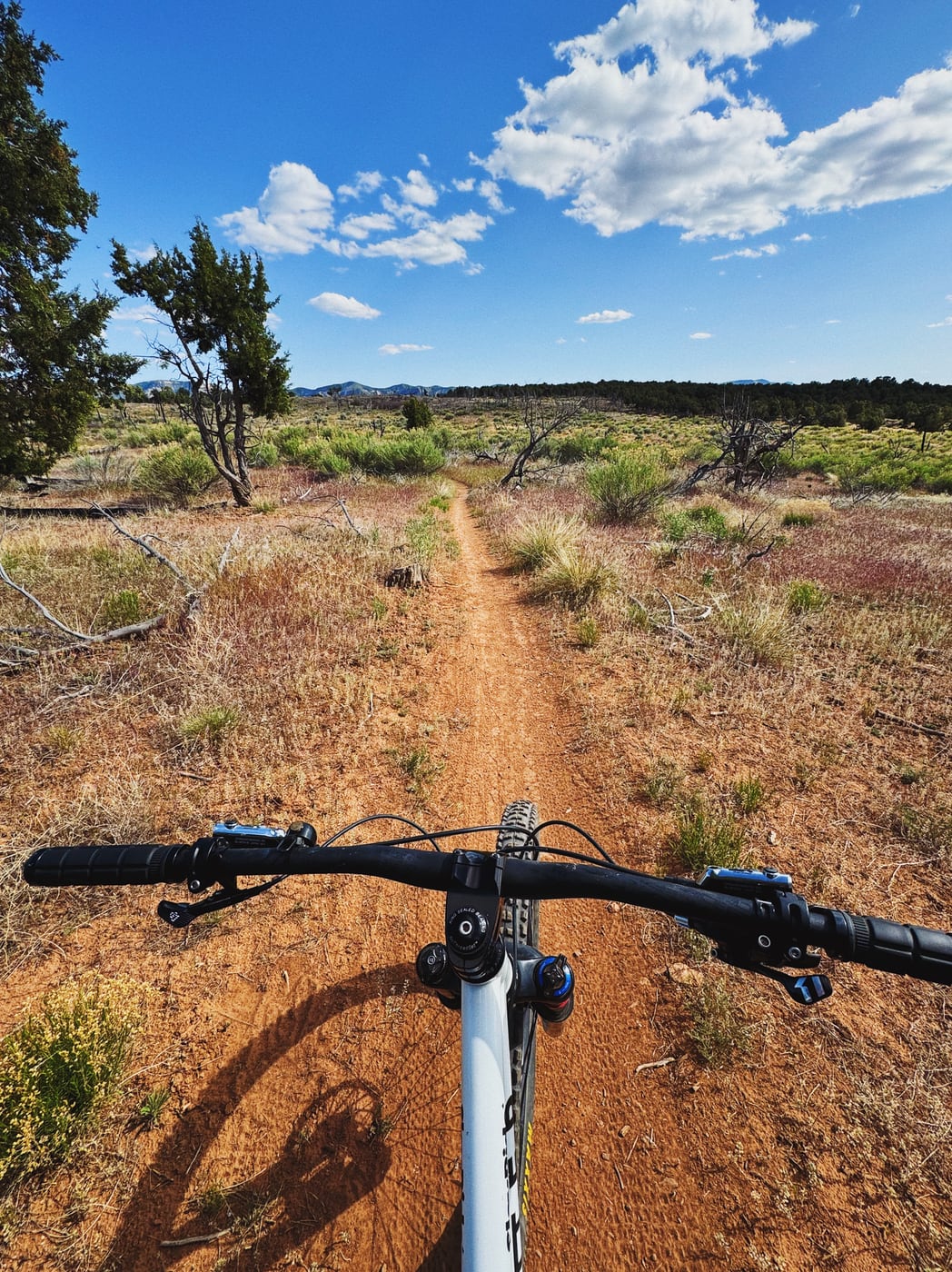 View from a mountain bike on a dirt trail through a grassy and sparsely wooded landscape under a blue sky with scattered clouds.